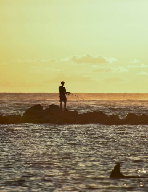 A person stands on rocks at the ocean's edge during a sunset, with a warm glow reflecting on the water.