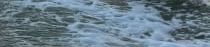 On a boat at sea, waves trail behind as a dolphin surfaces near the side, with a shoreline in the distance.