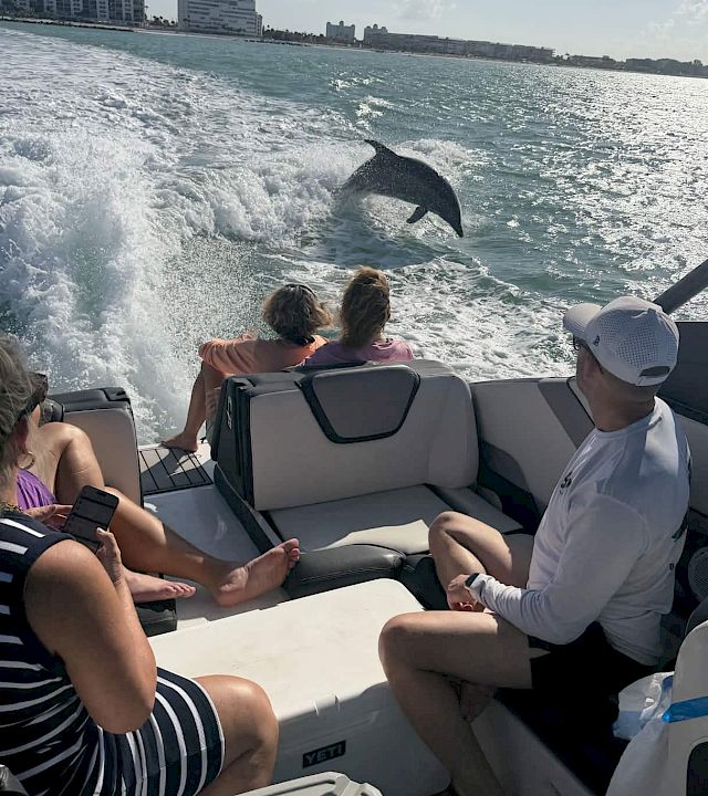 People on a boat watch a dolphin leap in the ocean near a coastal city skyline under a sunny sky.