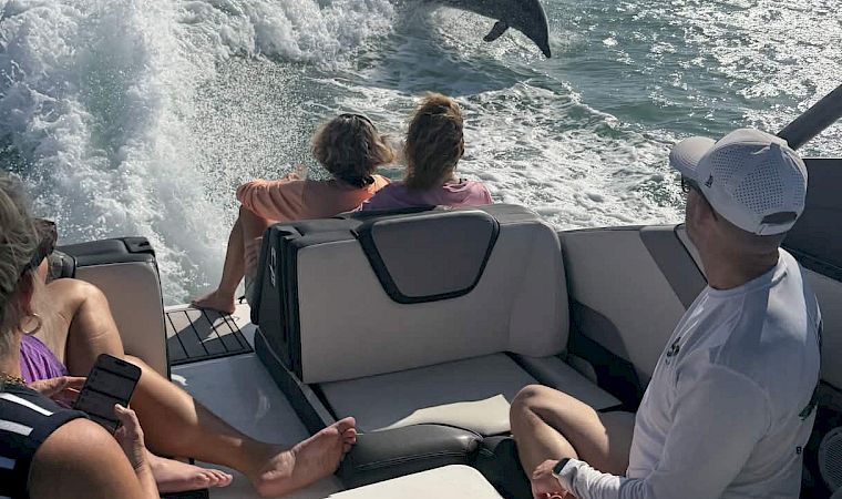 People on a boat watch a dolphin leap in the ocean near a coastal city skyline under a sunny sky.